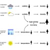 Properties of Sea Water