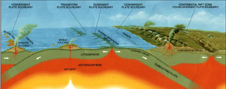 Ocean Facts: Ridges & Trenches