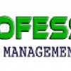 Professional Ship Management Logo